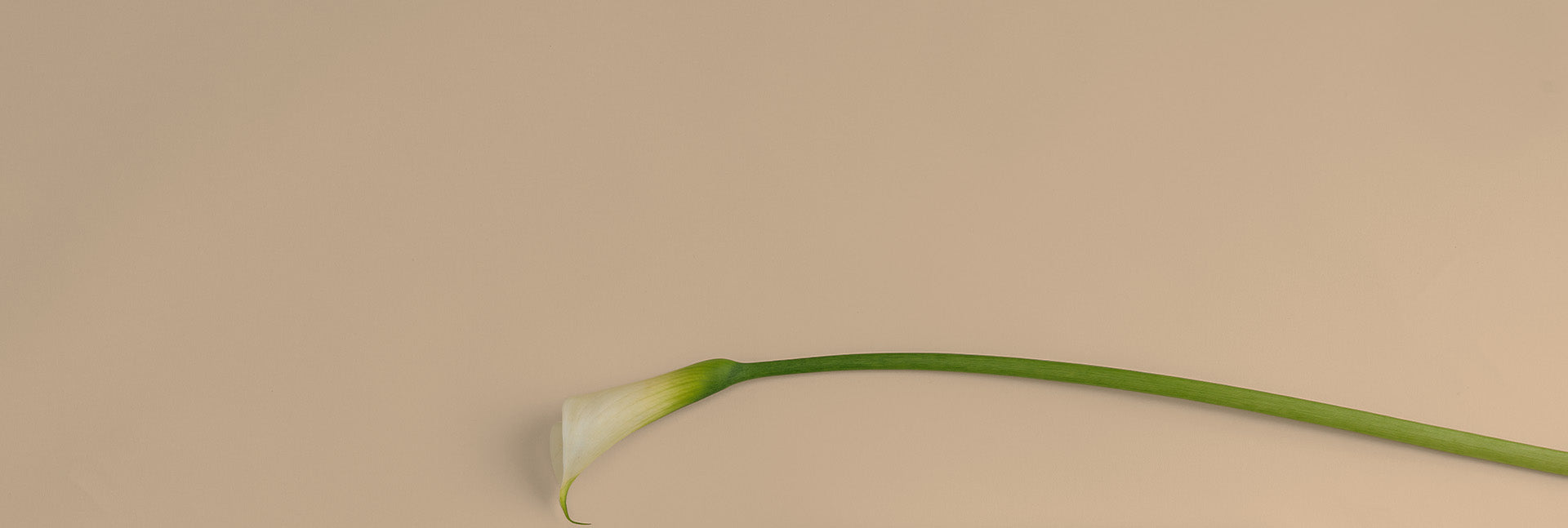 Regali festa della mamma: idee originali per sorprendere