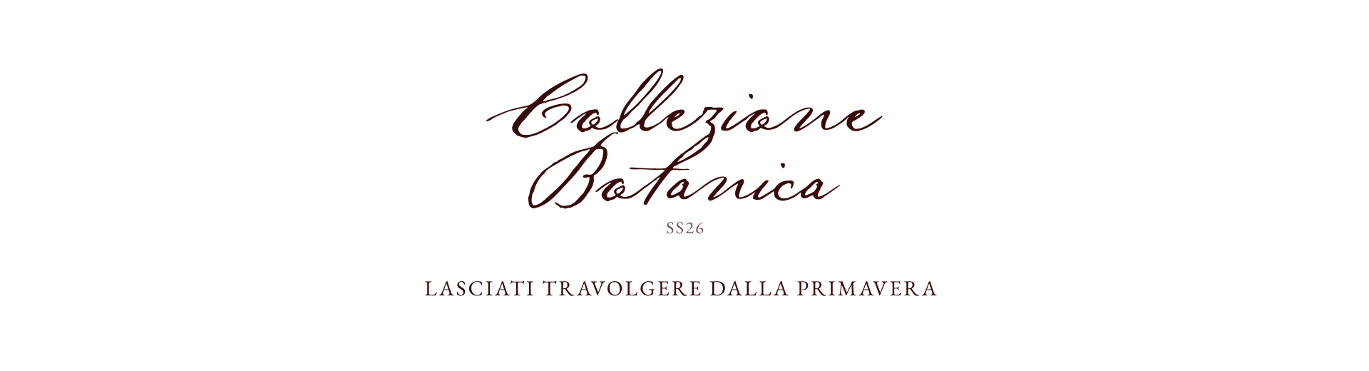 Dalfilo IT