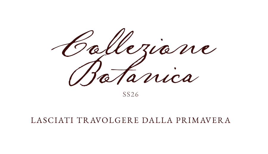 Dalfilo IT