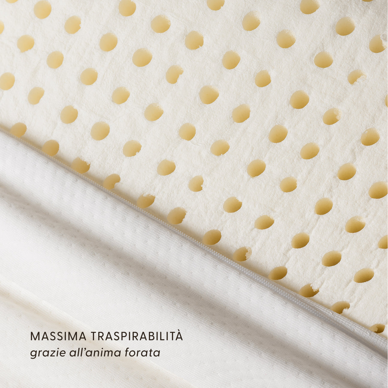 Novità Primavera-Estate - Dalfilo