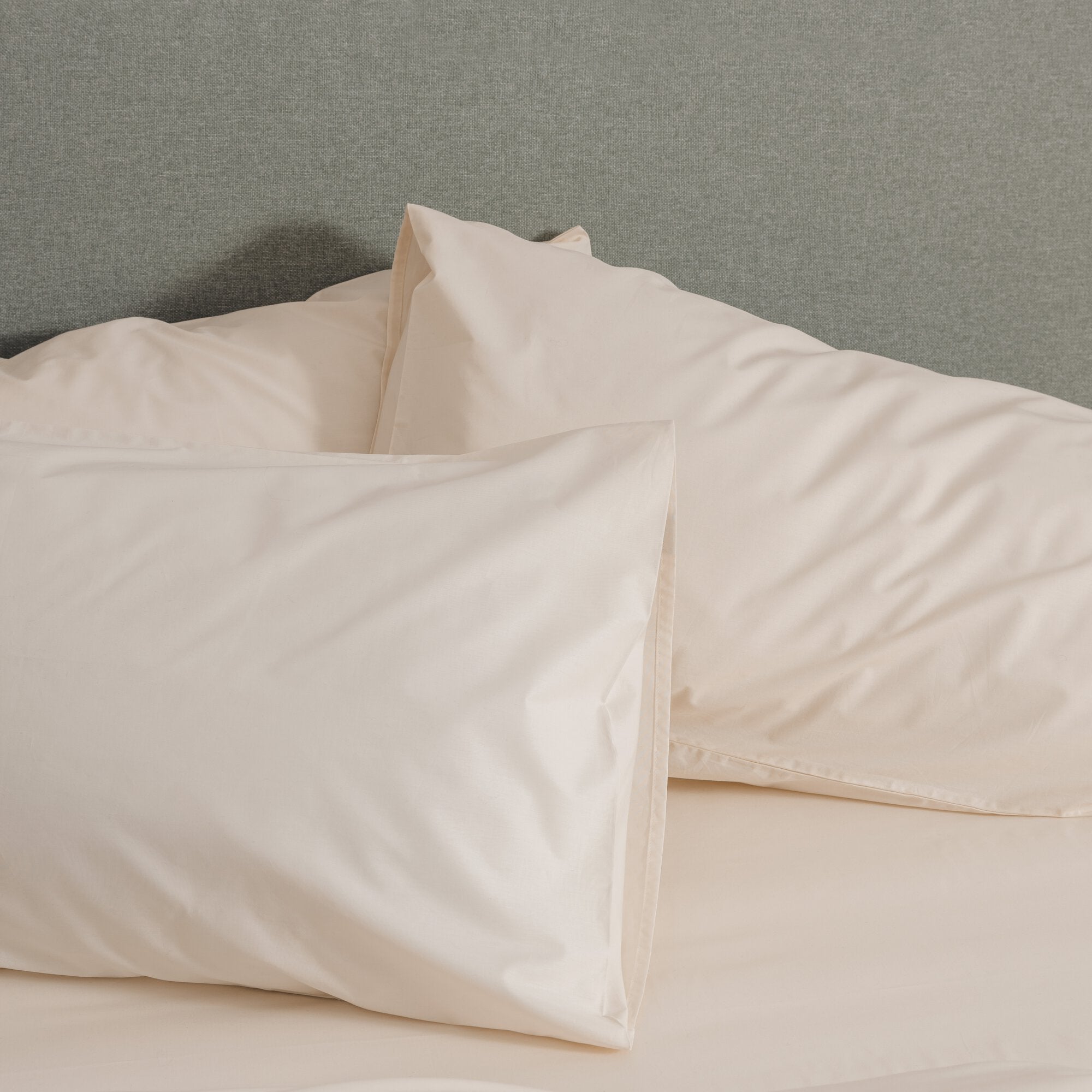 Federa In Percalle Di Cotone Gabel - Beige 50x80 Cm, Made In Italy, Morbida E Facile Da Stirare - Foto 2